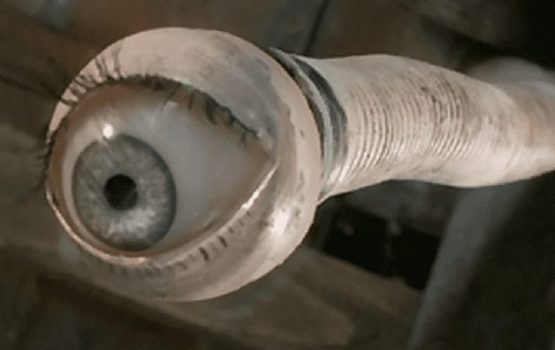 dạo diễn ji barta