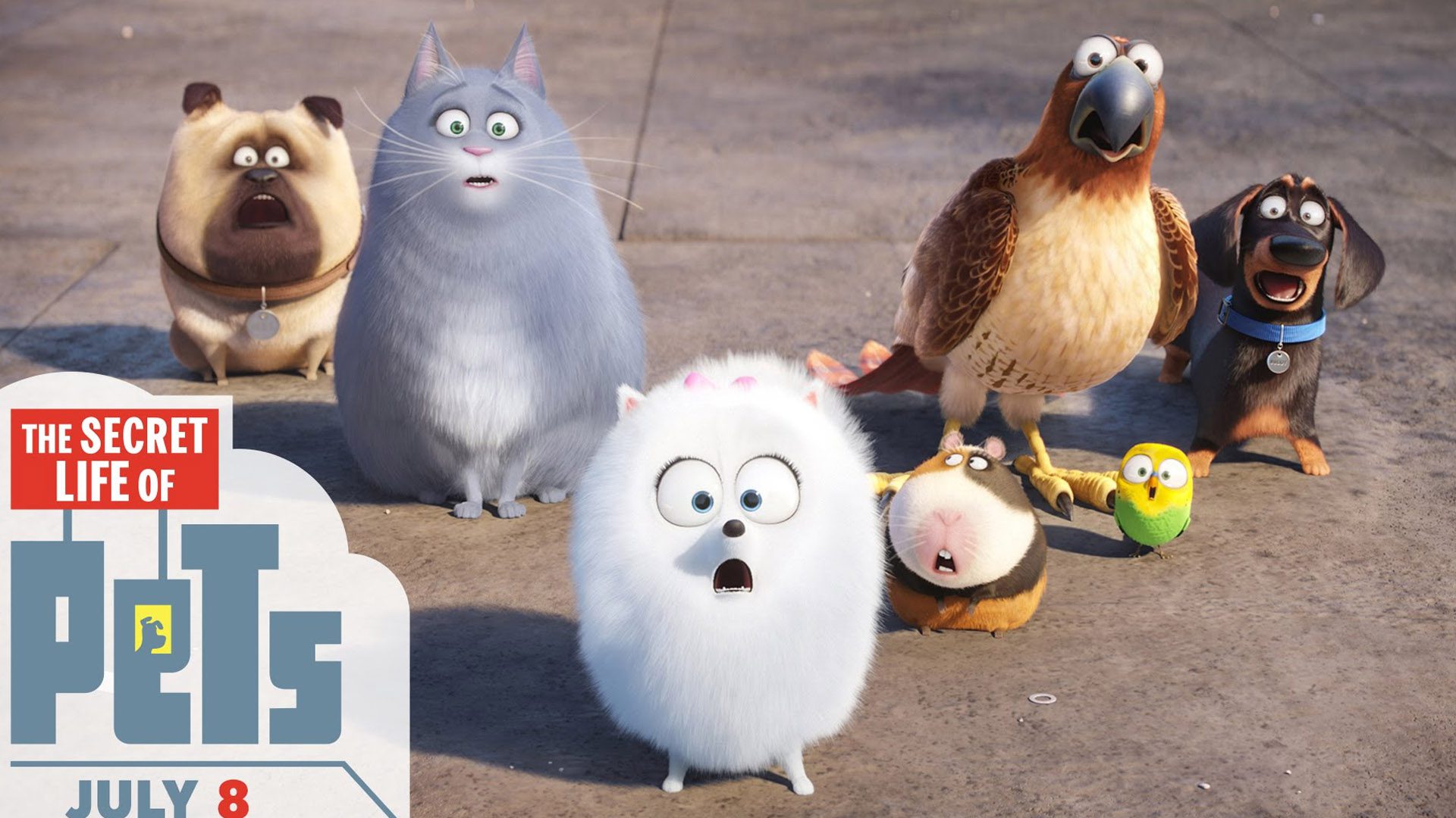 Phim hoạt hình Pets 2- đẳng cấp thú cưng phần 2