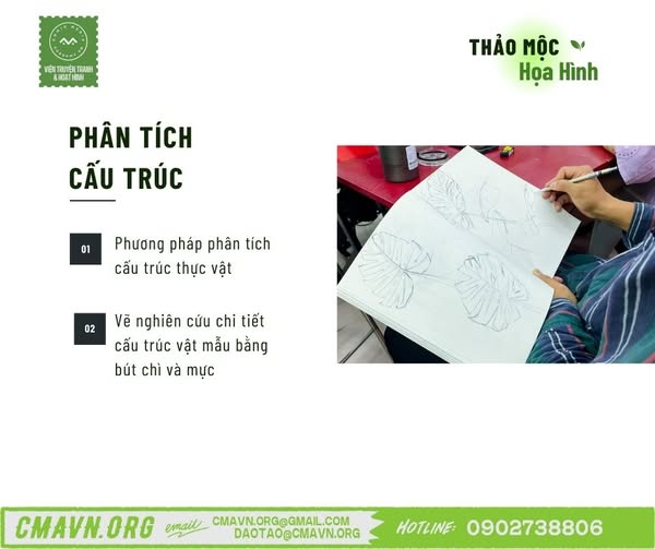 thảo mộc họa hình