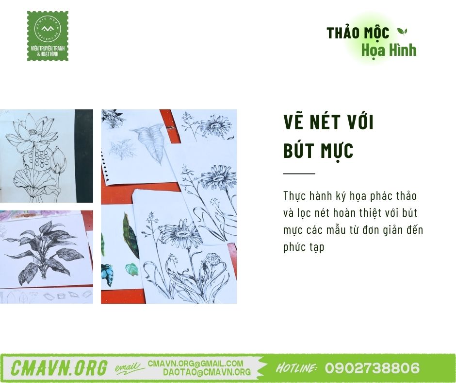 thảo mộc họa hình