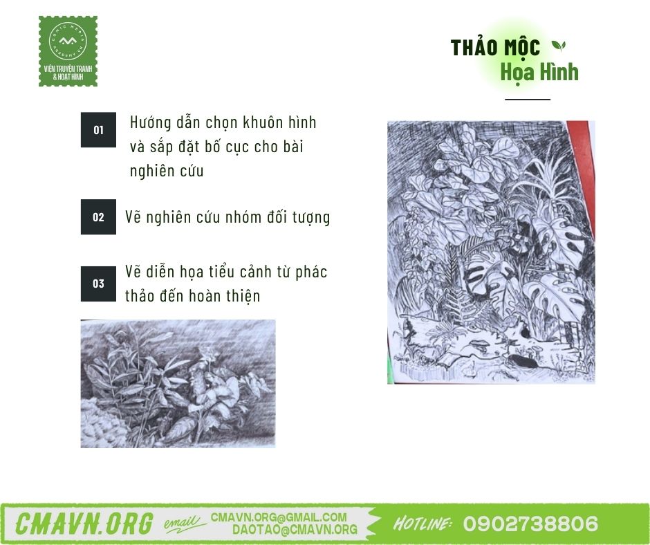 thảo mộc họa hình