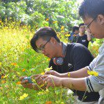 thực tế nhiếp ảnh Truyện tranh và Hoạt hình tại Tiền Giang 1